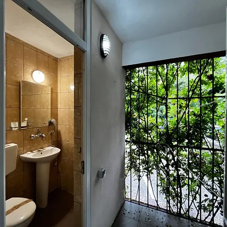 Fagaras * Эфорие Норд